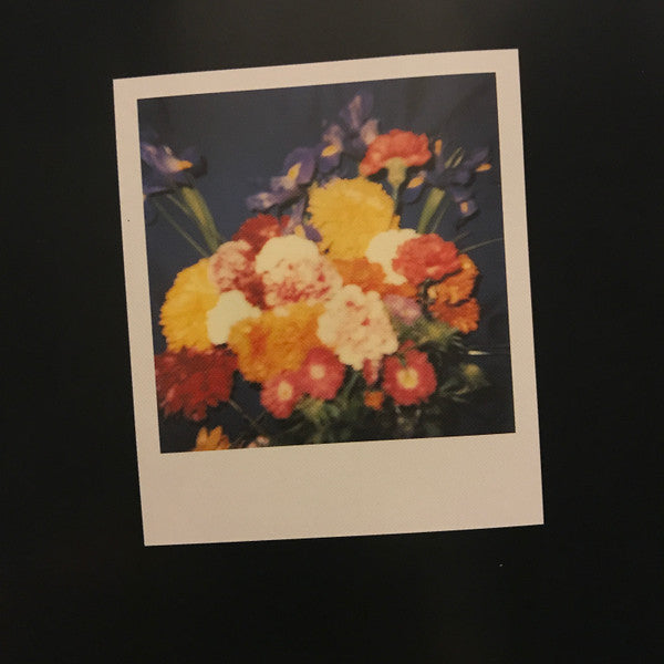 The Teardrop Explodes : Wilder (HDCD, Album, RE, RM)