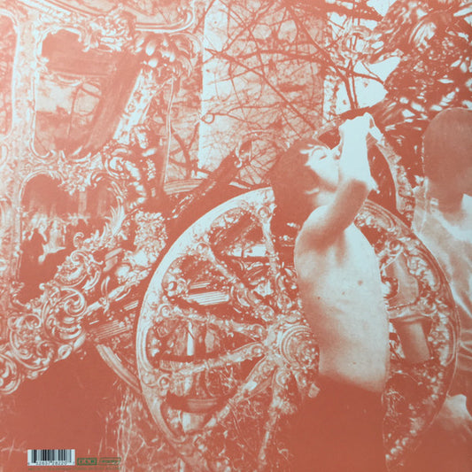 Deerhunter : Microcastle / Weird Era Cont. (LP, Album, RP + LP + RE)