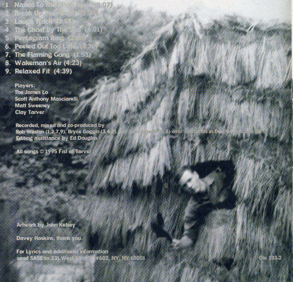 Chavez : Gone Glimmering (CD, Album)