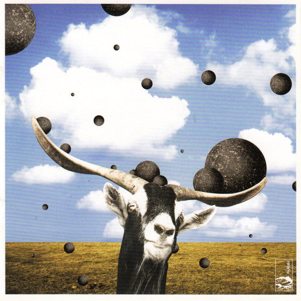 Umpire (3) : Now We're Active (CD, Album)