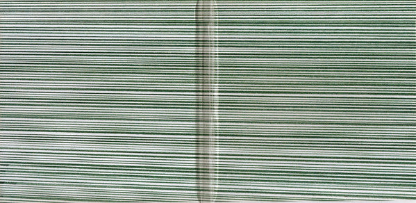 Deerhoof : Offend Maggie (CD, Album, Gat)