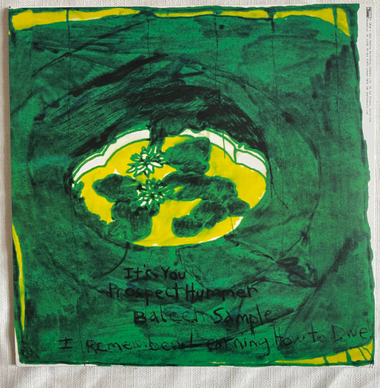 Animal Collective : Prospect Hummer (12", RSD, Ltd, RE, Gre)