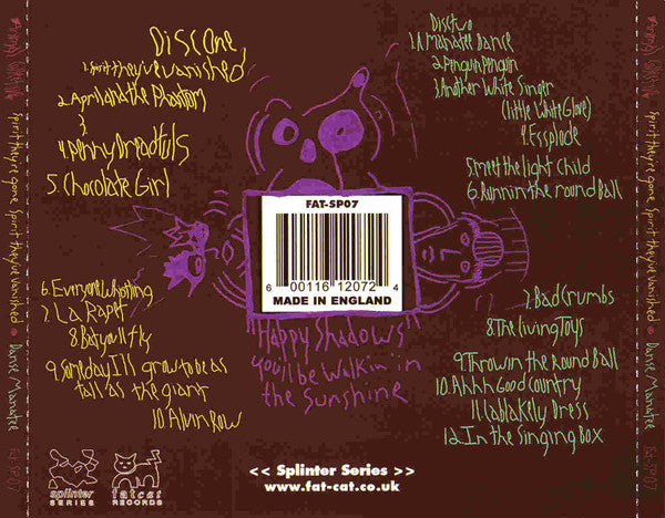 Animal Collective : Spirit They're Gone Spirit They've Vanished / Danse Manatee (CD, Album, RE + CD, Album, RE + Comp, VDC)