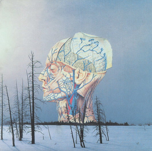 Low : Songs For A Dead Pilot (12", EP, RP)