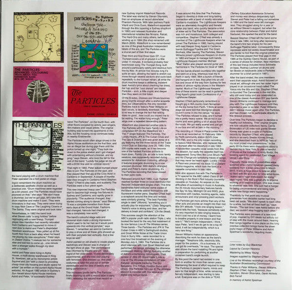 The Particles (2) : 1980s Bubblegum (LP, Comp)