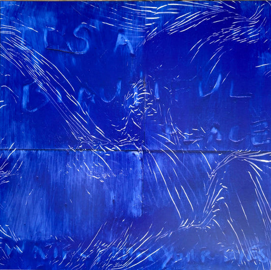 Water From Your Eyes : It's A Beautiful Place (LP, Album)