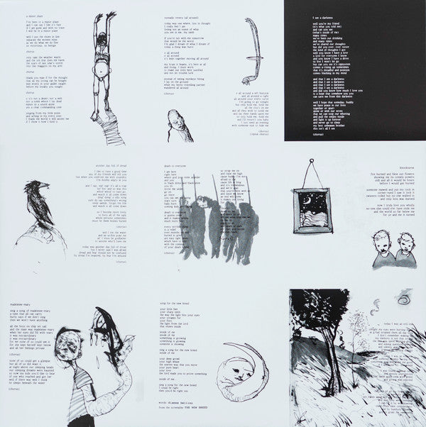 Bonnie "Prince" Billy : I See A Darkness (LP, Album)