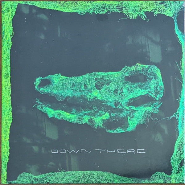 Avey Tare : Down There (CD, Album)