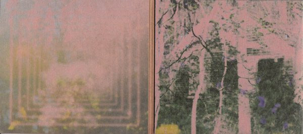 Black Moth Super Rainbow : Dandelion Gum (CD, Album, Car)